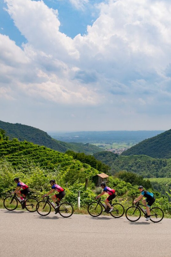blue prosecco touring bike