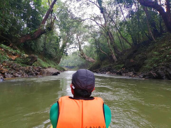 Kayak In Little Amazon Of Terengganu Airbnb