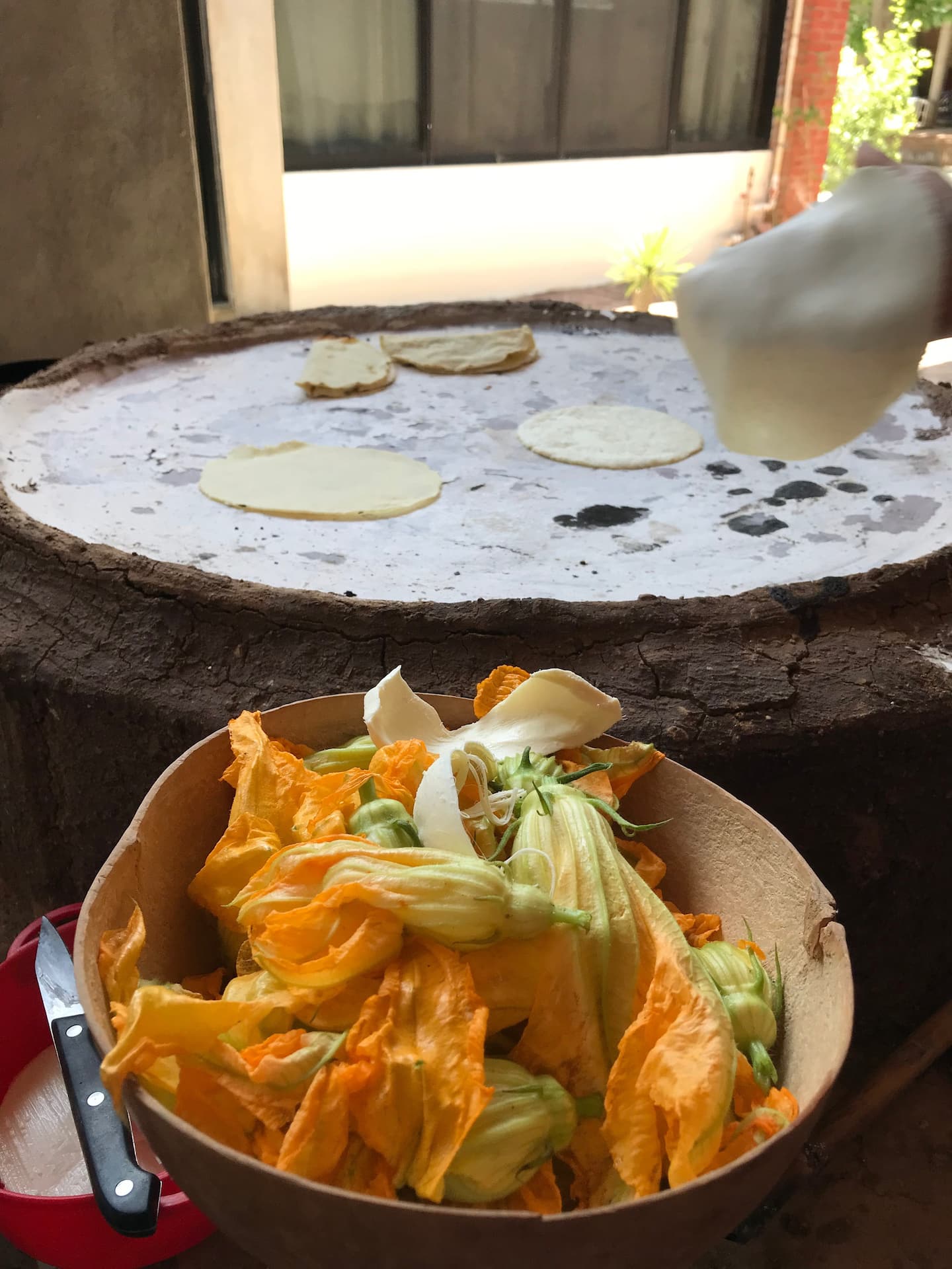 11 Best Cooking Classes in Oaxaca Mexico in 2023