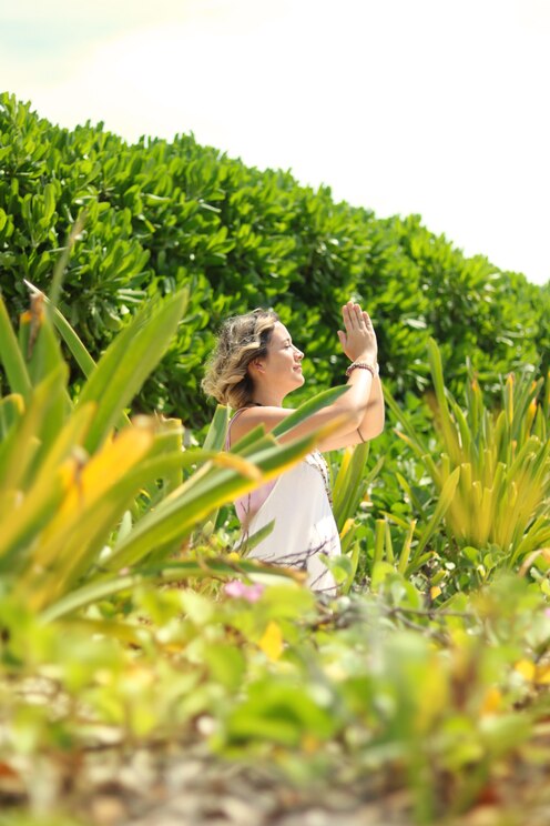 Show full-screen, host-provided image