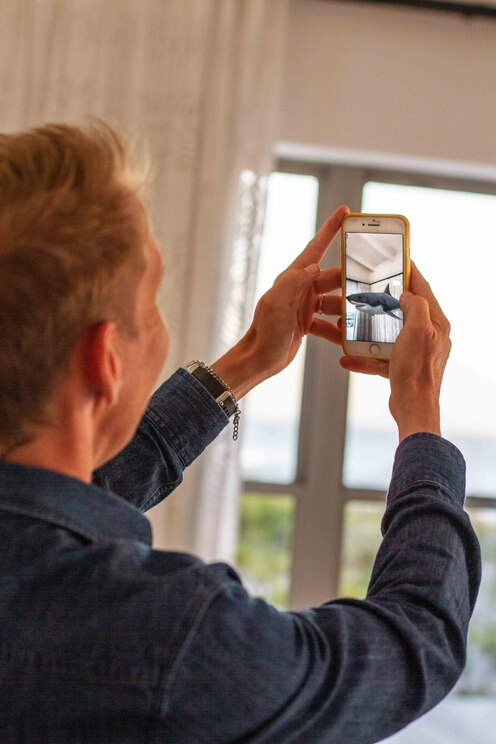 Mostrar imagem fornecida pelo anfitrião em ecrã inteiro