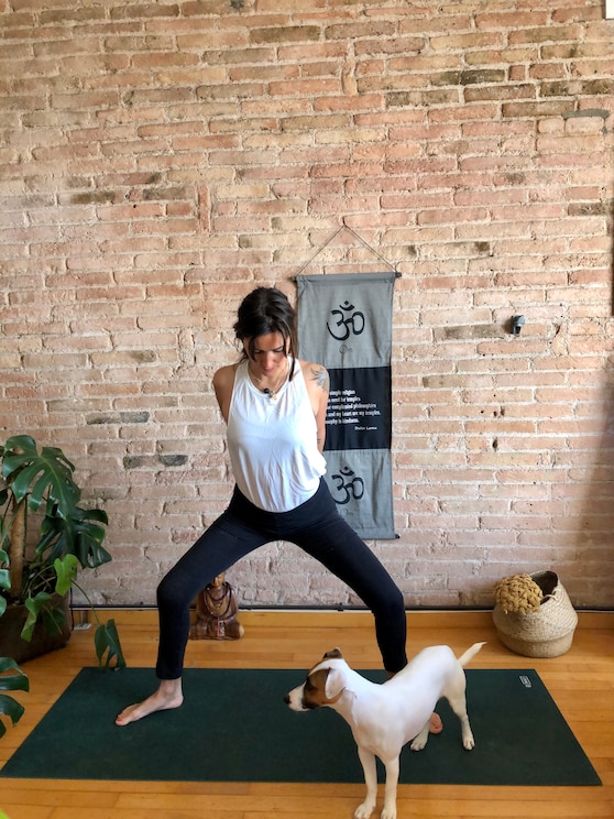 Mostrar imagem fornecida pelo anfitrião em ecrã inteiro