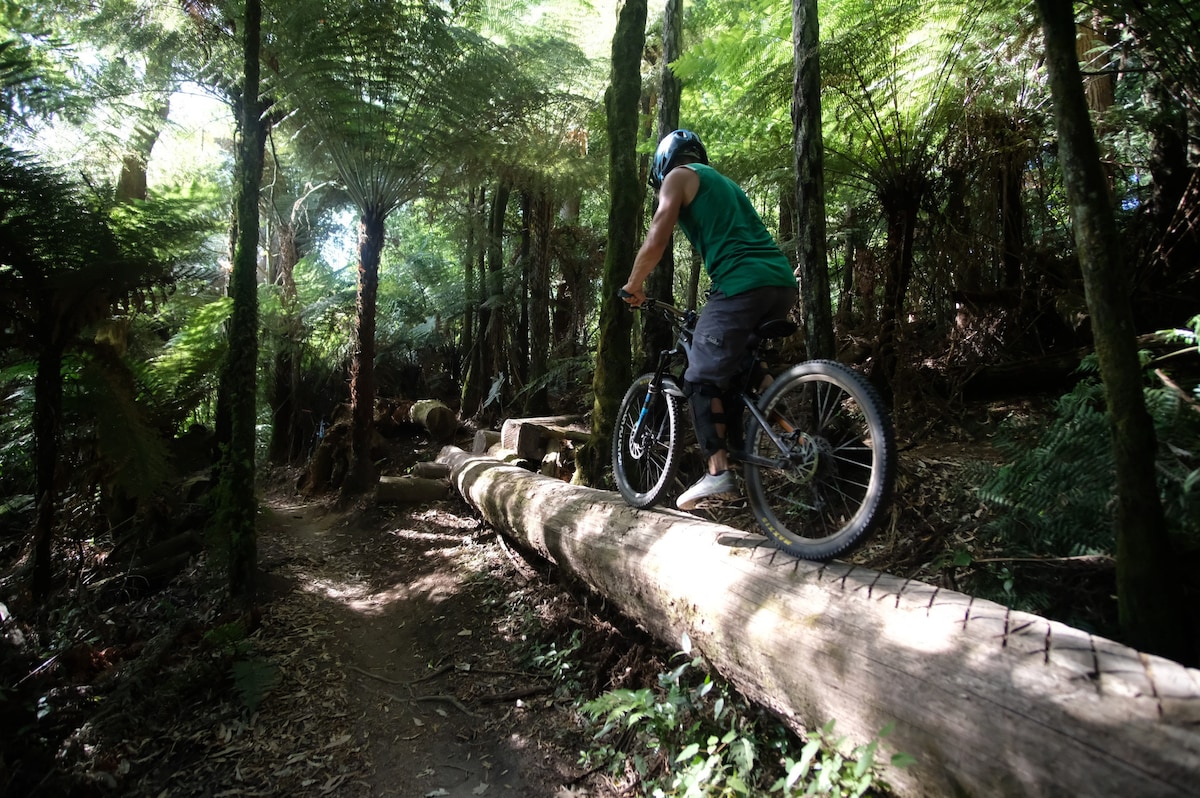 redwoods mountain biking