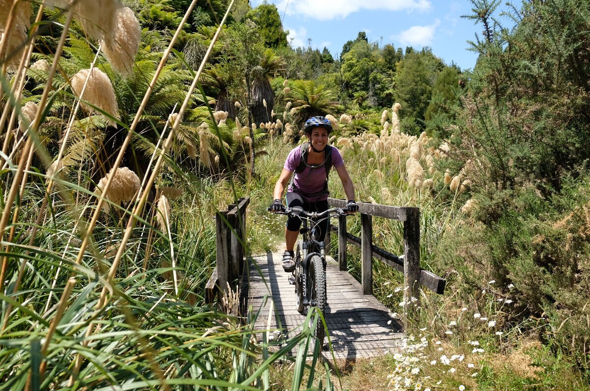 redwoods mountain biking