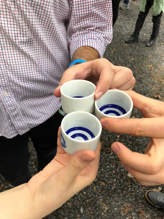 Show full-screen, host-provided image