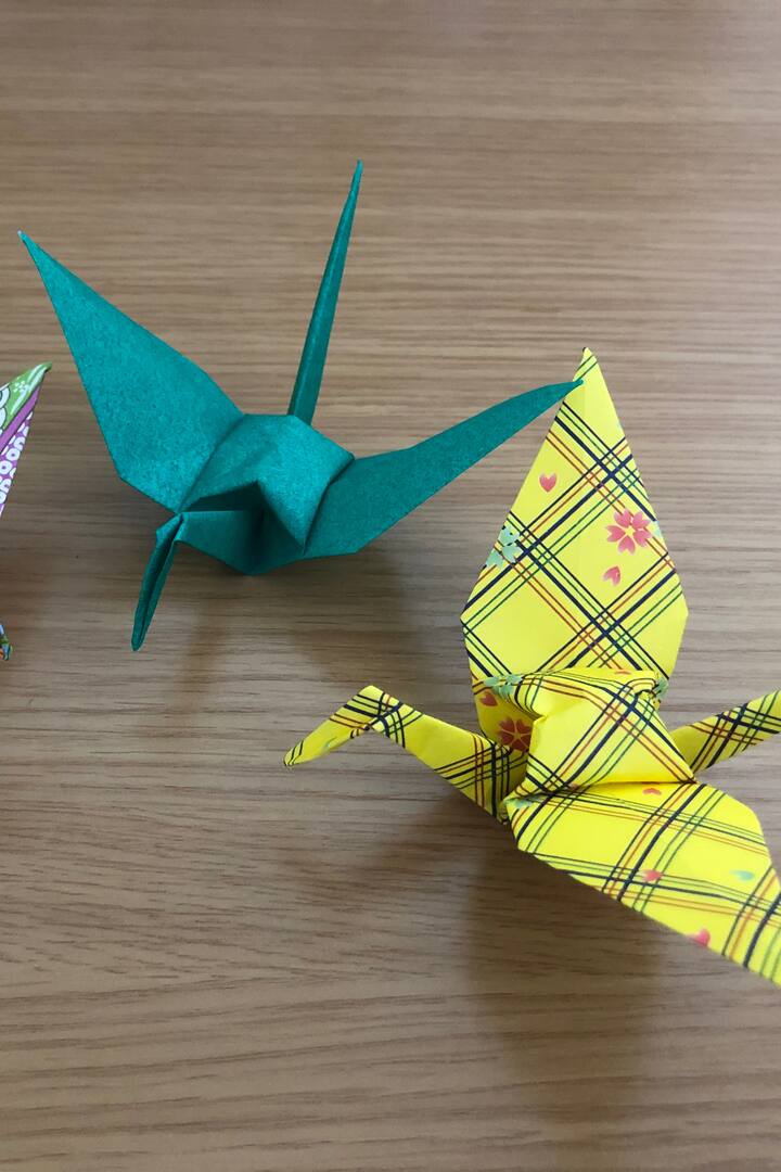 For the normal program 