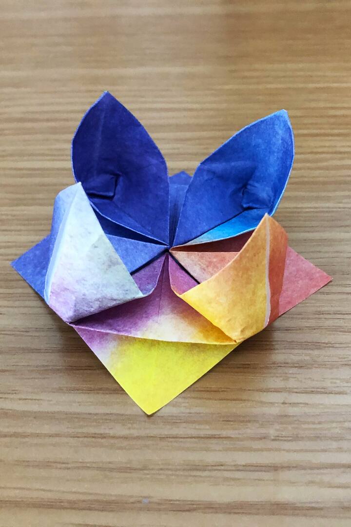 For the normal program