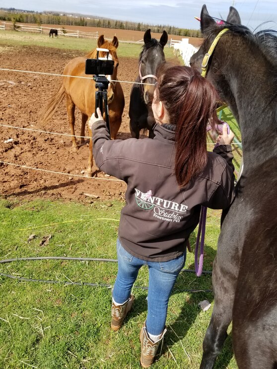 Mostrar imagem fornecida pelo anfitrião em ecrã inteiro