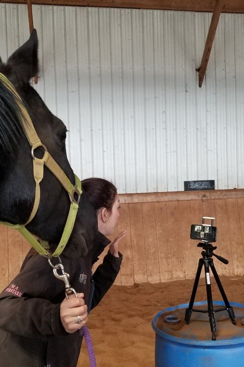 Mostrar imagem fornecida pelo anfitrião em ecrã inteiro