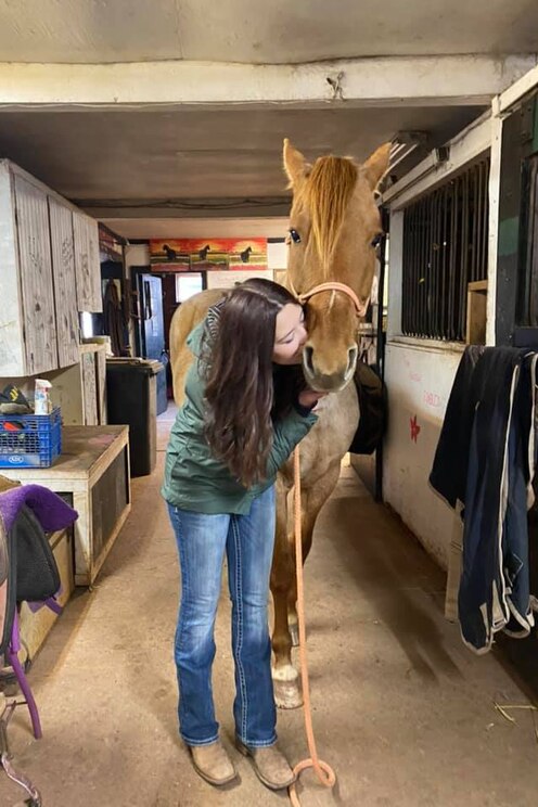 Mostrar imagem fornecida pelo anfitrião em ecrã inteiro