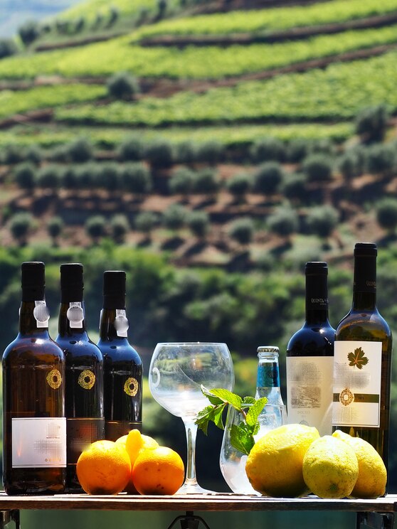 Show full-screen, host-provided image