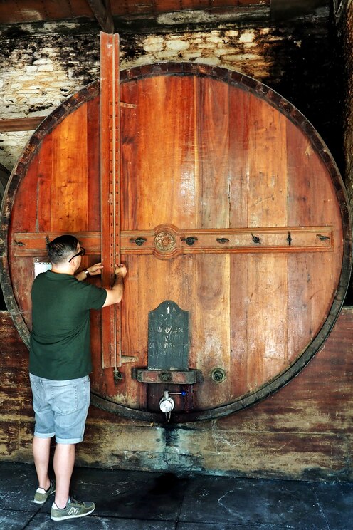 Show full-screen, host-provided image