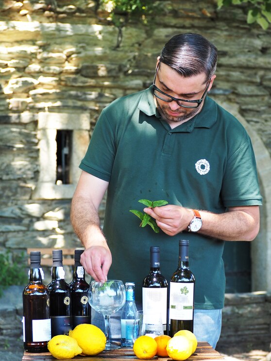 Show full-screen, host-provided image