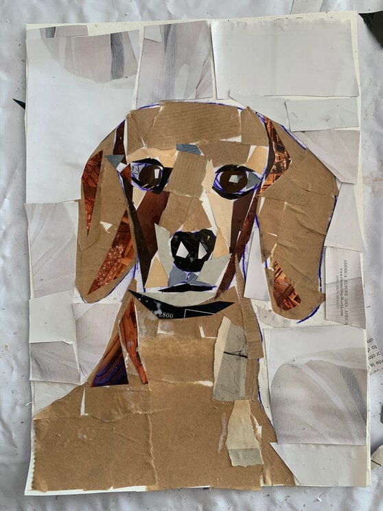 Mostrar imagem fornecida pelo anfitrião em ecrã inteiro