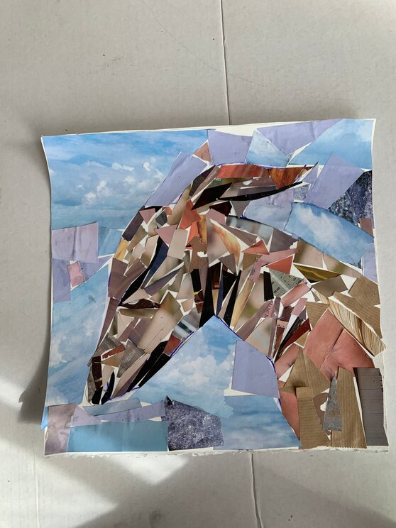 Mostrar imagem fornecida pelo anfitrião em ecrã inteiro