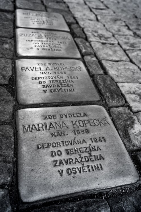 Show full-screen, host-provided image