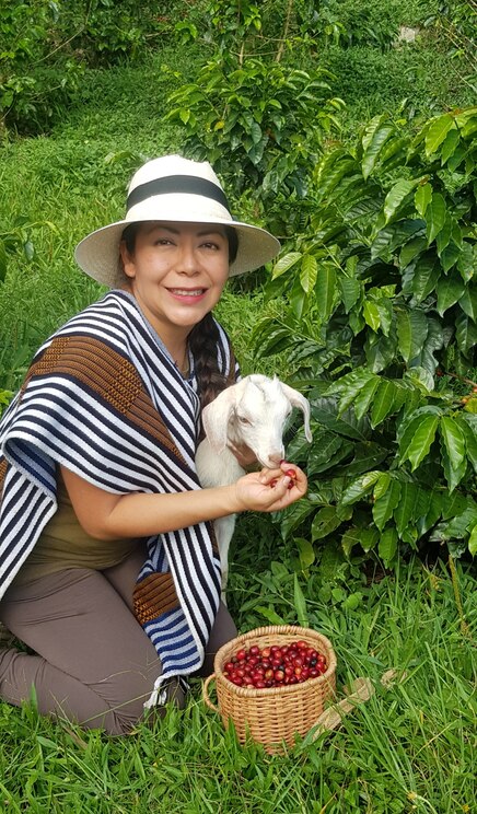 Mostrar imagem fornecida pelo anfitrião em ecrã inteiro