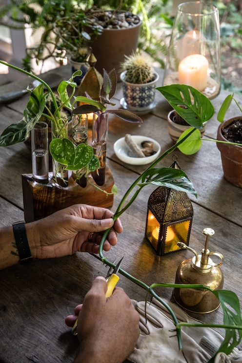 Show full-screen, host-provided image