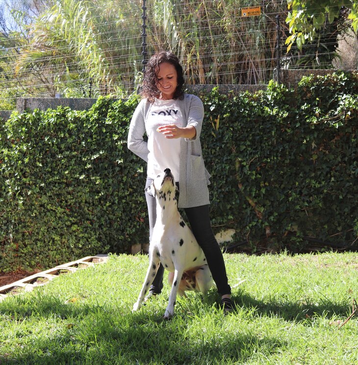 Show full-screen, host-provided image