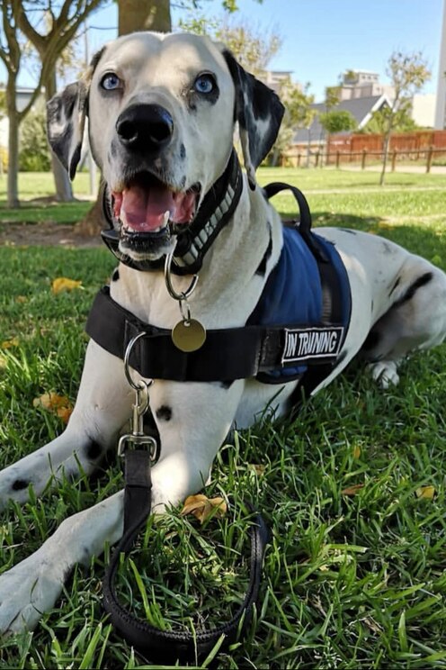 Show full-screen, host-provided image