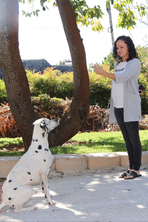 Show full-screen, host-provided image