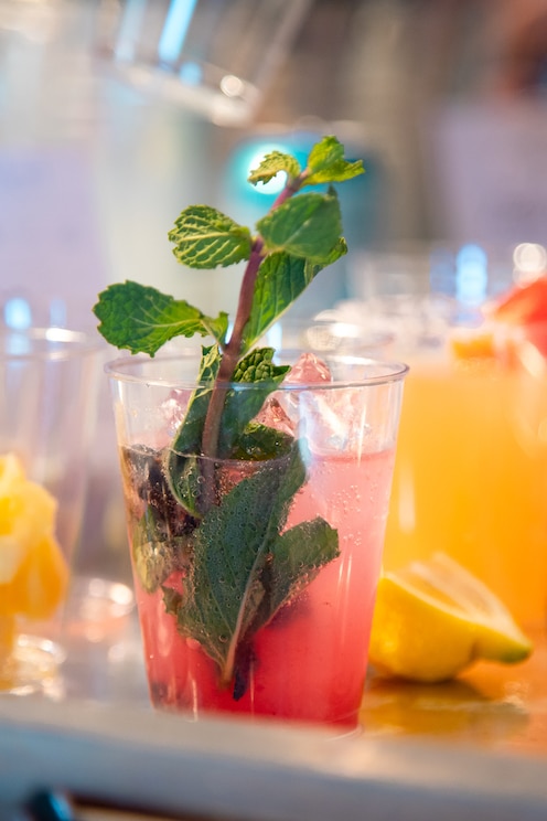 Mostrar imagem fornecida pelo anfitrião em ecrã inteiro