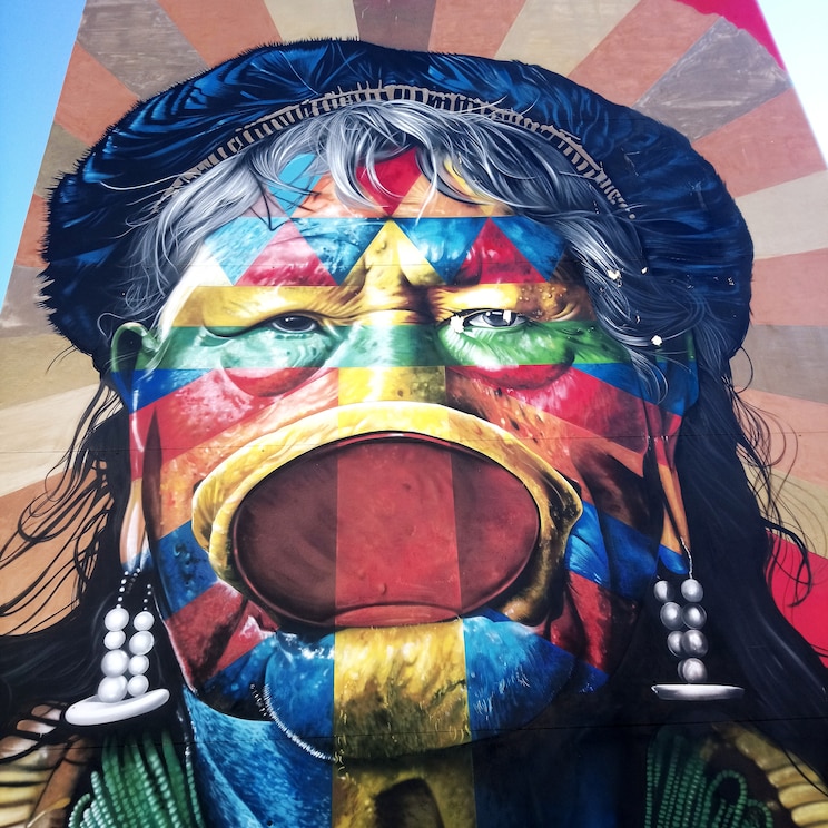 Show full-screen, host-provided image