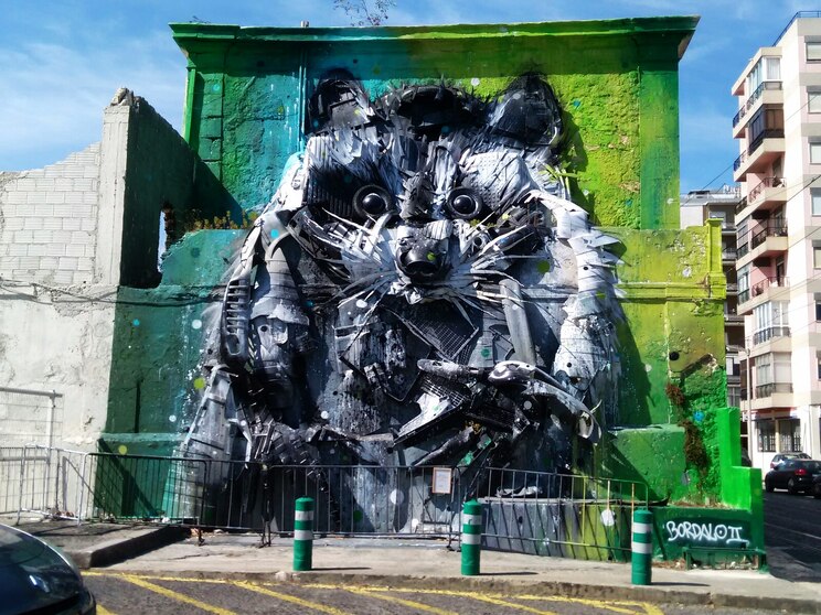 Show full-screen, host-provided image