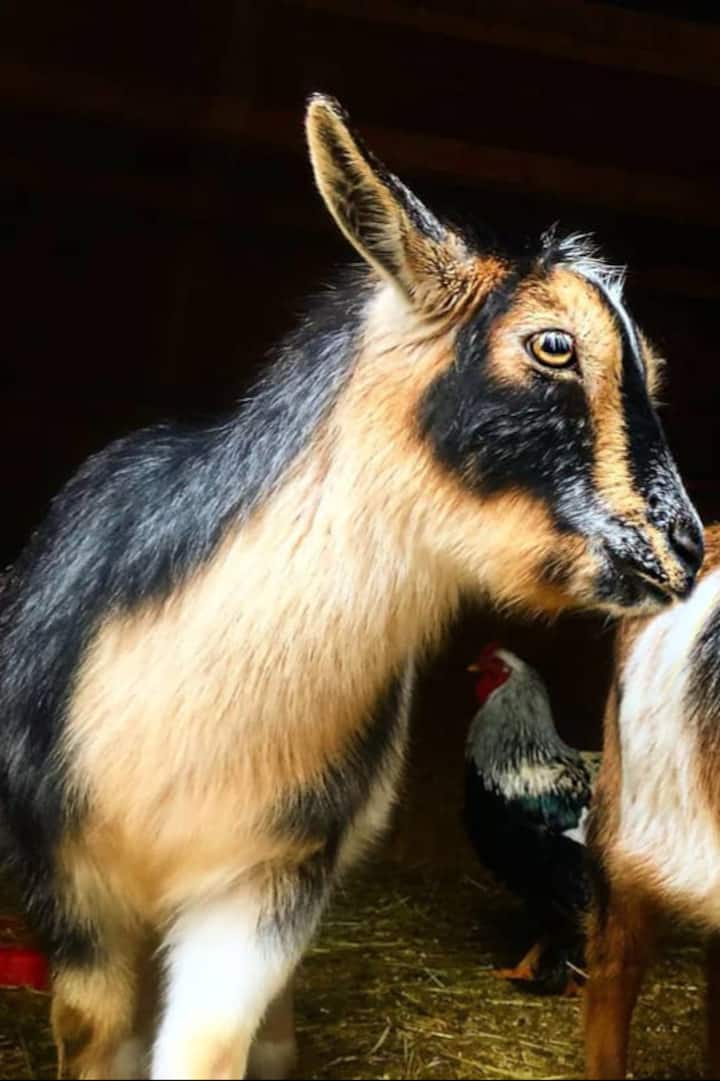 Foto 2 der Entdeckung