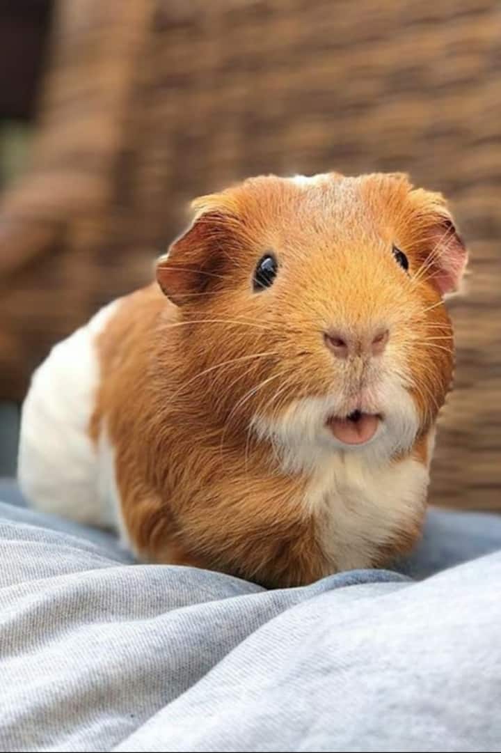 Foto 1 der Entdeckung