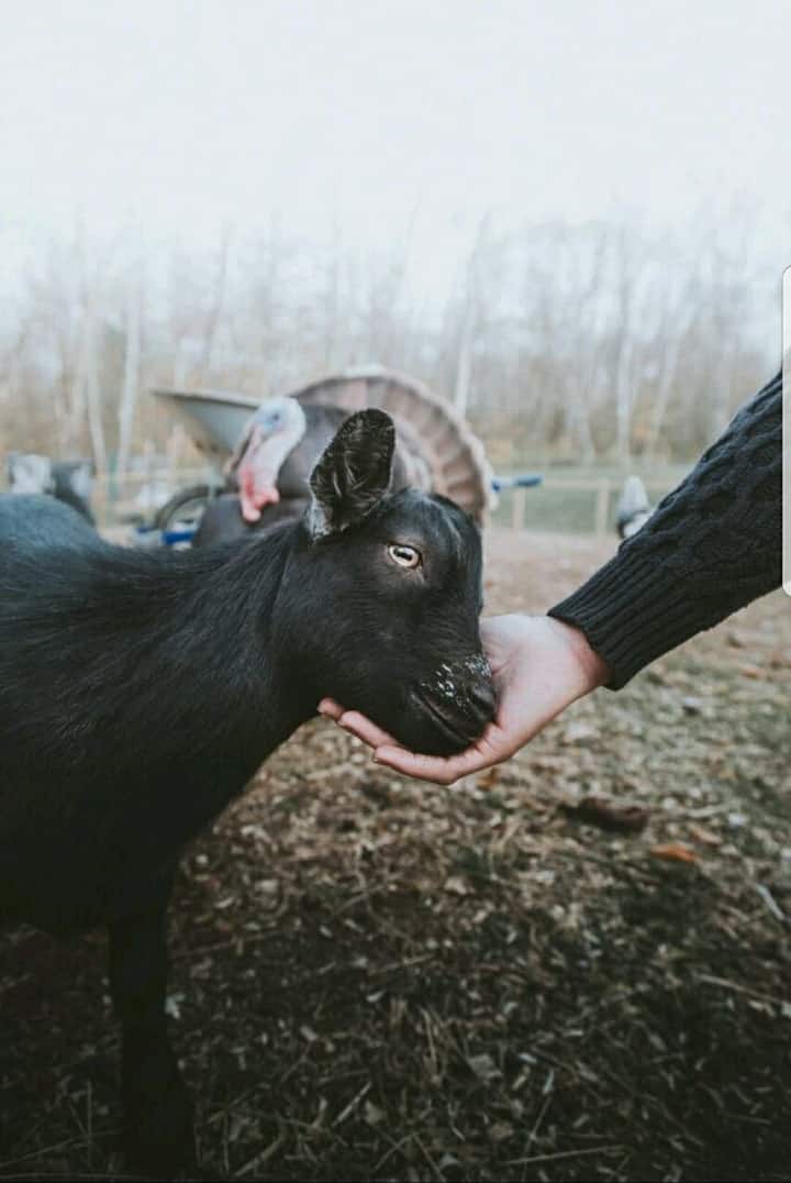 Foto 4 der Entdeckung