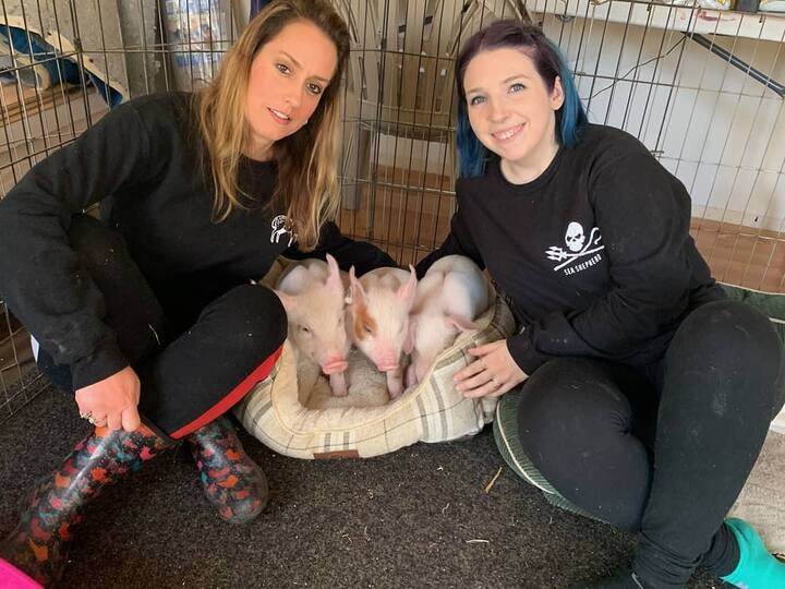 Titelfoto der Entdeckung