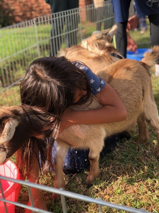 Mostrar imagem fornecida pelo anfitrião em ecrã inteiro