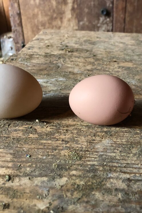 Mostrar imagem fornecida pelo anfitrião em ecrã inteiro