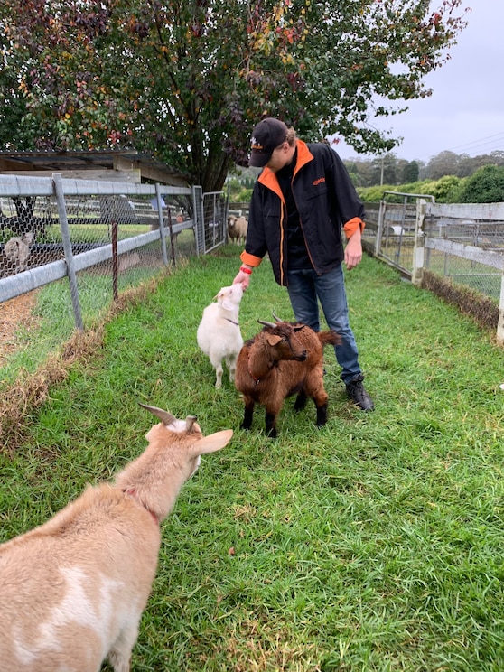 Mostrar imagem fornecida pelo anfitrião em ecrã inteiro