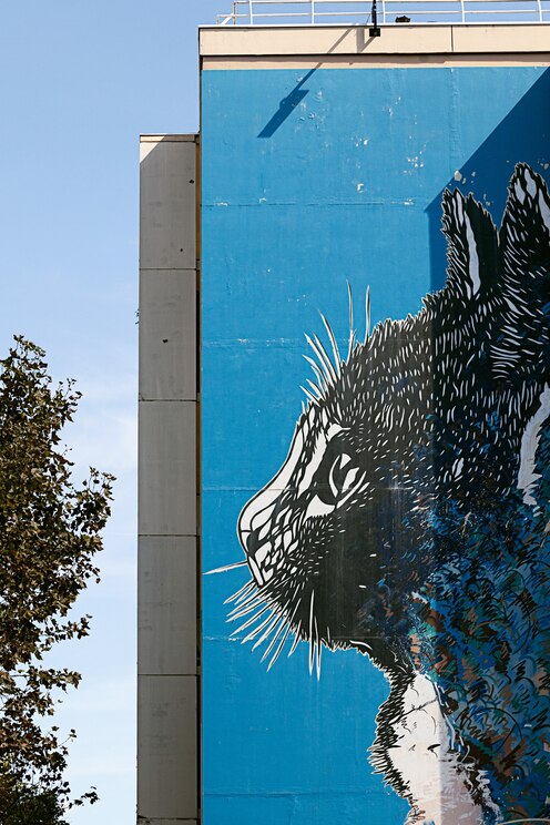 Show full-screen, host-provided image