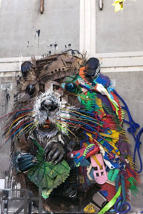 Show full-screen, host-provided image