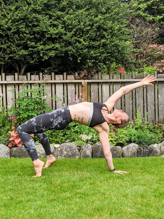 Mostrar imagem fornecida pelo anfitrião em ecrã inteiro