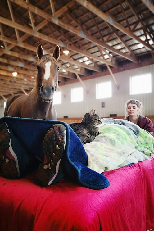 Mostrar imagem fornecida pelo anfitrião em ecrã inteiro