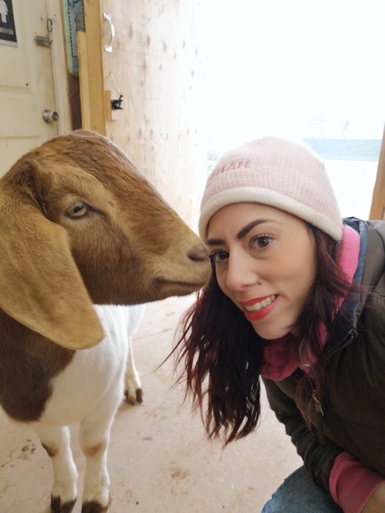 Mostrar imagem fornecida pelo anfitrião em ecrã inteiro