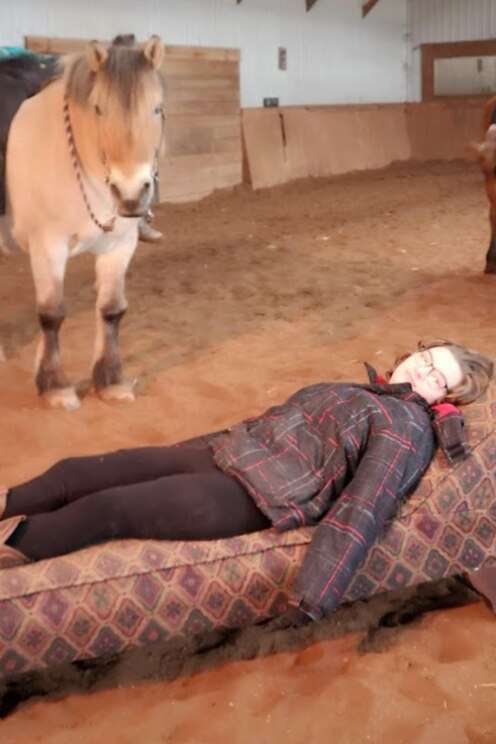 Mostrar imagem fornecida pelo anfitrião em ecrã inteiro