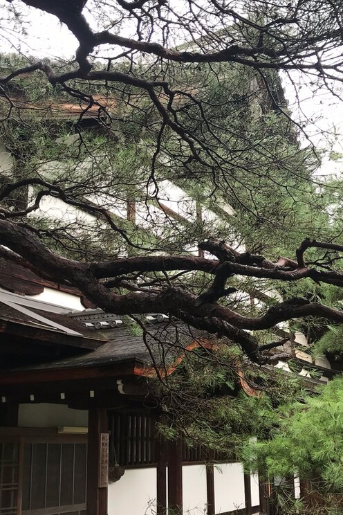 Show full-screen, host-provided image