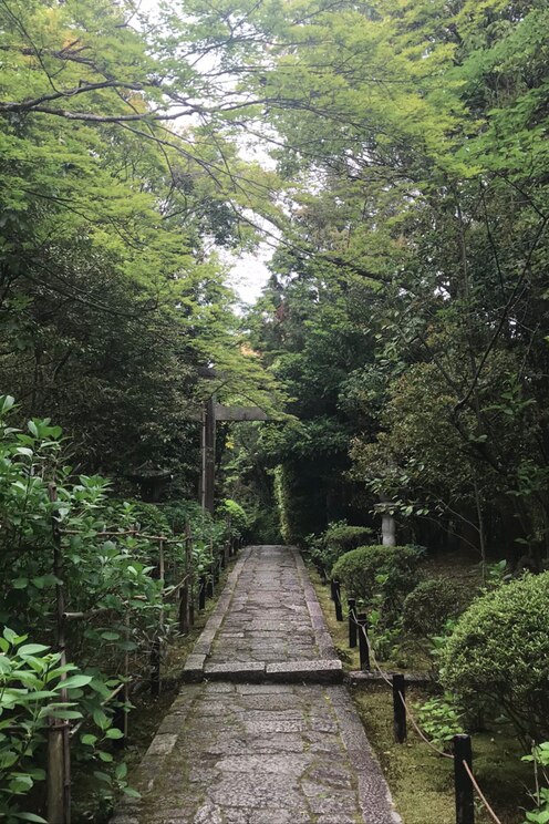 Show full-screen, host-provided image