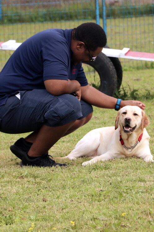 Mostrar imagem fornecida pelo anfitrião em ecrã inteiro