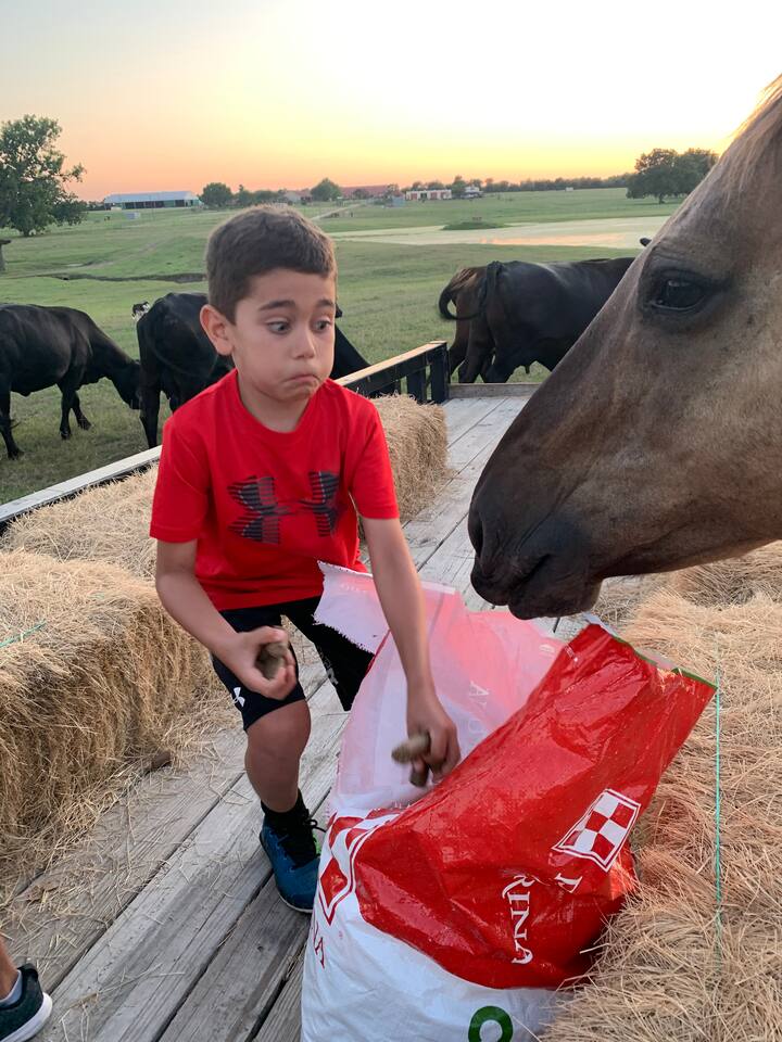 Rockin Star Ranch Wine With The Bovine Airbnb Rockin Star Ranch Wine With The Bovine Airbnb
