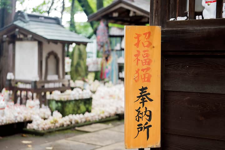 Foto da experiência 2