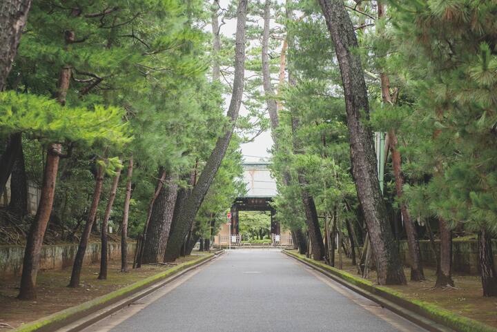 Foto da experiência 3