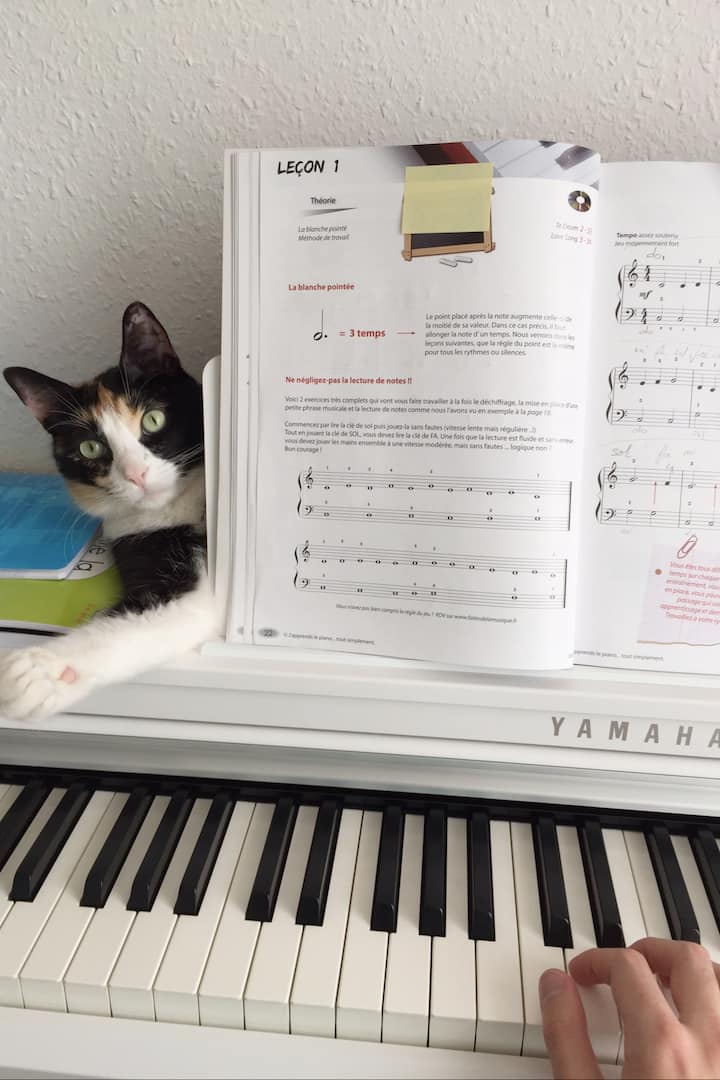 Cours Master Class De Piano Chant Airbnb