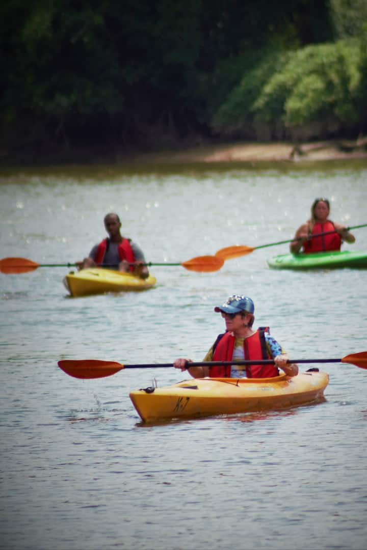 Things to Do in Boydton 5Star Authentic Experiences