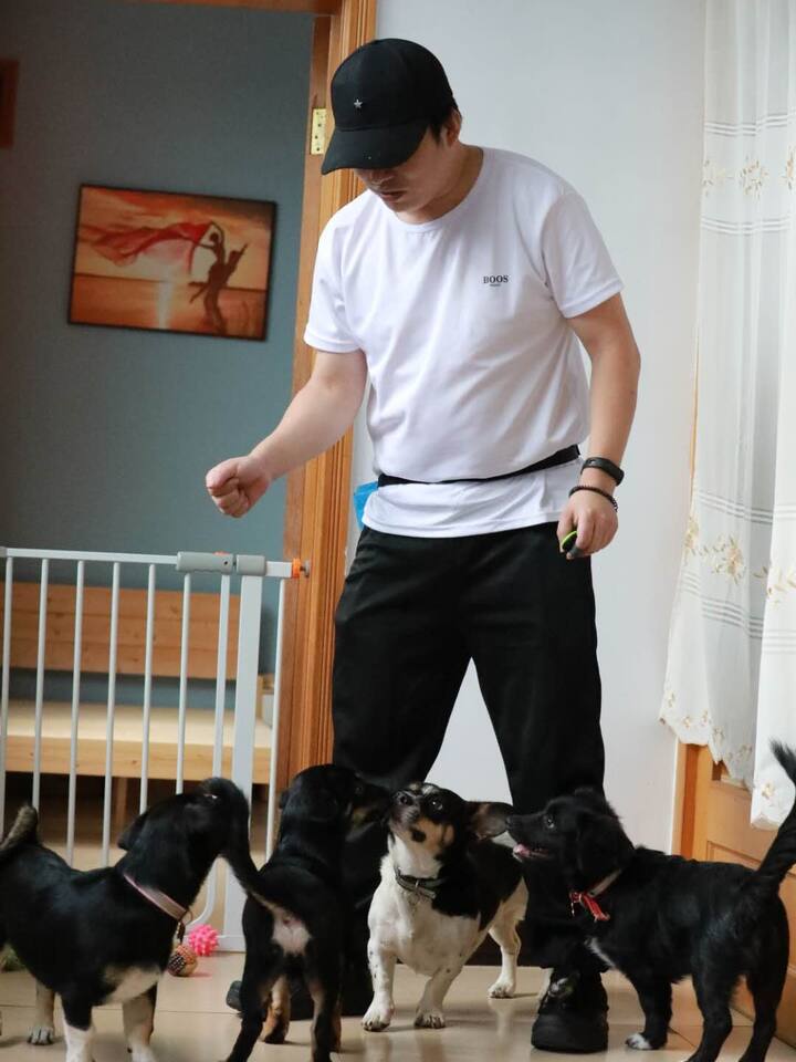 国家高级驯犬师分享养狗经验以及教您如何预防避免狗狗的不良行为 Airbnb